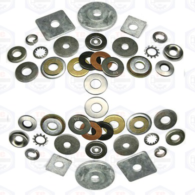 Long đen các loại