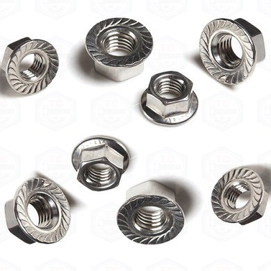 Đai ốc liền long đen inox 