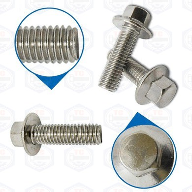 Bulông liền long đen inox SUS304