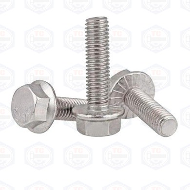 Bulông liền long đen inox