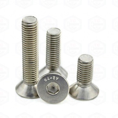 Bulông lục giác chìm bằng inox 